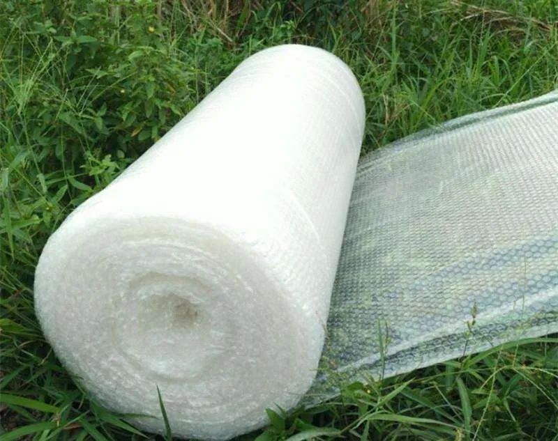 你知道怎麼用(yong)氣泡膜嗎？